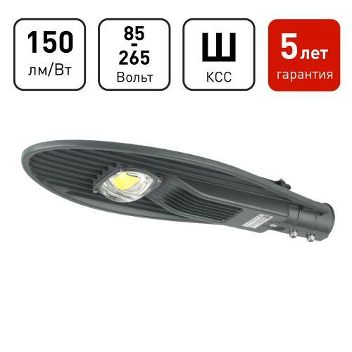 Светильник светодиодный SPP-5-60-5K-W 60Вт 5000К IP65 9000лм ДКУ консольный Эра Б0029441