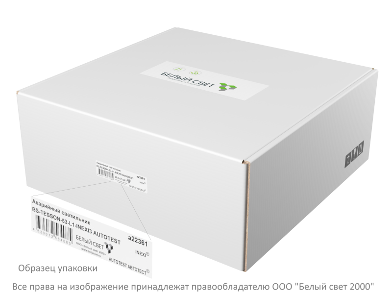 Светильник аварийный BS-TESSON-10-L1-ELON Белый свет a21908