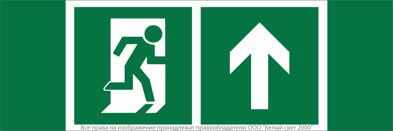 Знак безопасности NPU-3413.E38"Напр. к эвакуационному выходу прямо" Белый свет a18163