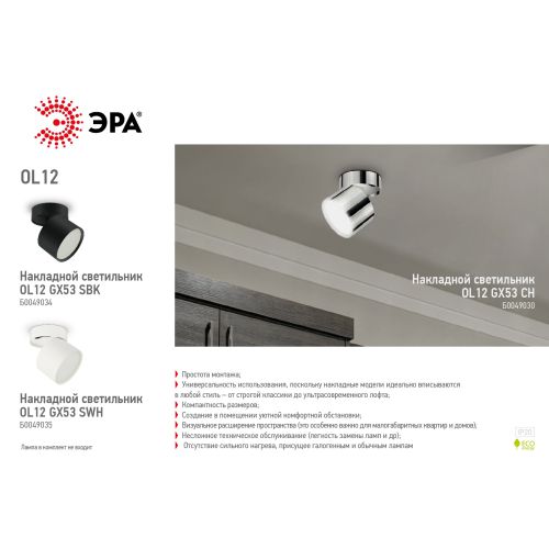 Светильник накладной под GX53 алюм. бел. OL12 GX53 SWH ЭРА Б0049035