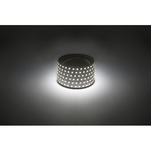 Лента светодиодная LS2835-14.4-120-24-33-4000К-5m (уп.5м) ЭРА Б0043099