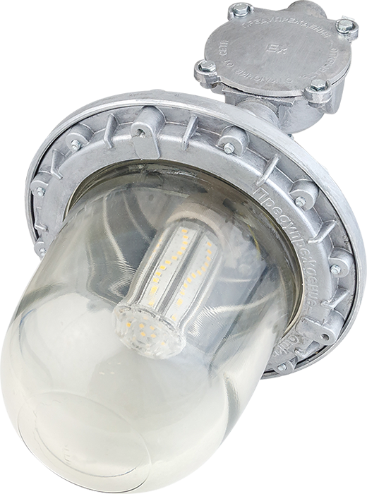 Светильник светодиодный НСП 02-200-001 (ВЗГ-200) 10/1200 1200лм 10Вт 5000К IP65 0.8PF 80Ra Кп<2 Diora DNSP10-VZG200-5K