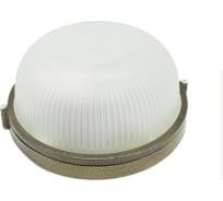 Светильник НБП 03-60-001 УХЛ1 (индив. упаковка) серебр. Витебск 1301-00030