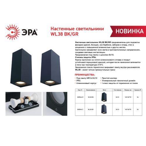 Подсветка декоративная WL38 BK MR16/GU10 (2 лампы по 35Вт) для интерьера фасадов зданий черн. Эра Б0054410