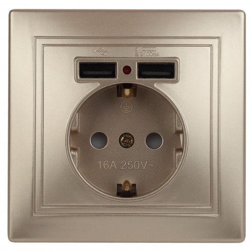 Розетка 1-м СП Plano 1-410-04 16А IP20 + 2хUSB шампань Intro Б0053945