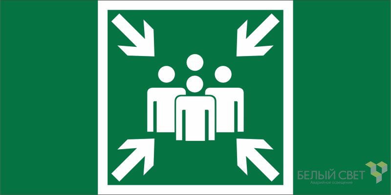 Знак безопасности BL-3015.E21 "Пункт (место) сбора" Белый свет a19433