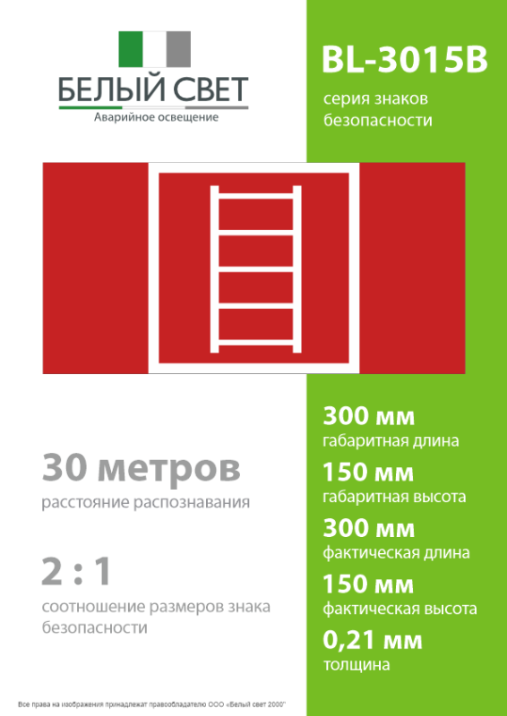 Знак безопасности BL-3015B.F03 "Пожарная лестница" Белый свет a19642