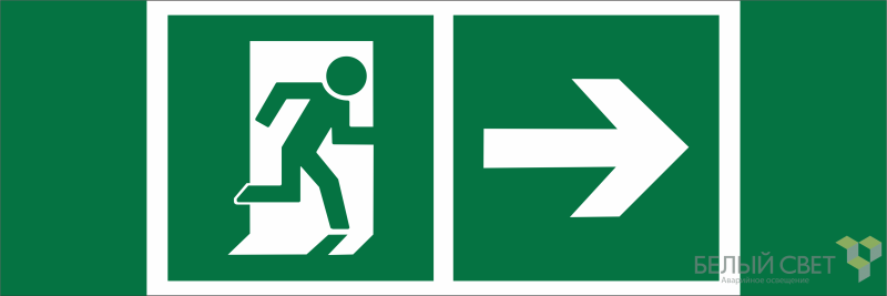 Знак безопасности NPU-3311.E35 "Напр. к эвакуационному выходу направо" Белый свет a25970