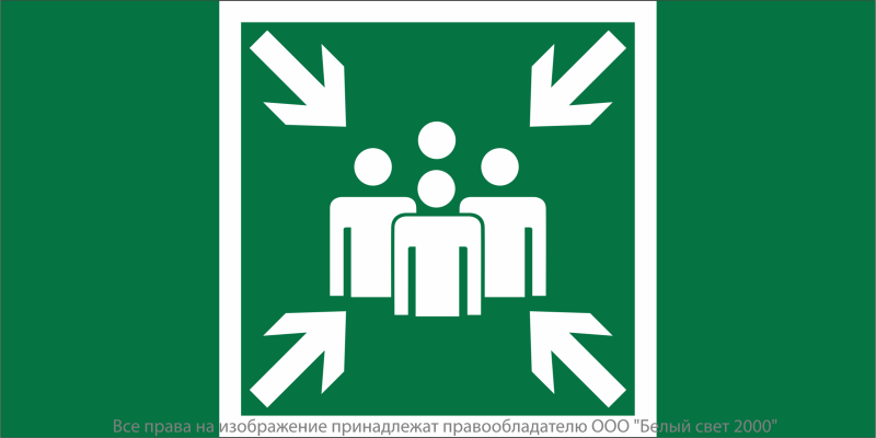 Знак безопасности NPU-6030.E21 "Пункт (место) сбора" Белый свет a20529