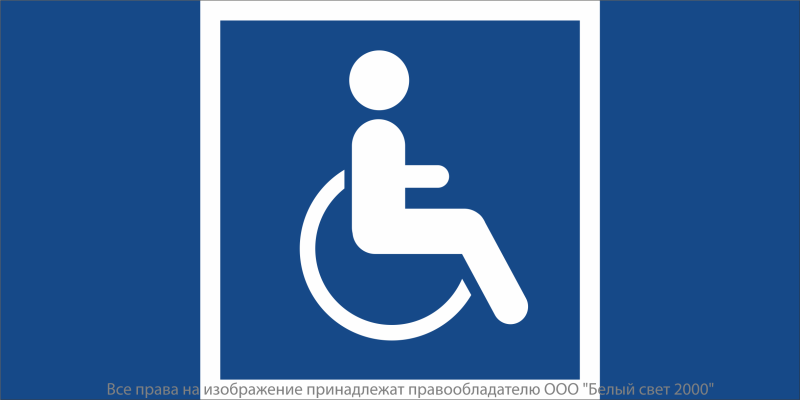 Знак безопасности NPU-7035.D02 "Символы доступ. для инвалидов всех категорий" Белый свет a20503