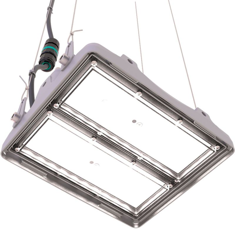 Прожектор светодиодный L-pixel 1/50/Д/850/(R5)/01/MT-KM/I1-D1/220AC IP66 RAL7035 LEDEL PX50-11316-124-172