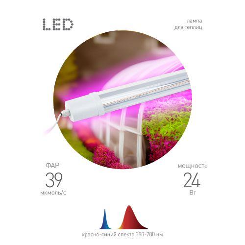 Светильник светодиодный FITO-24W-RB-N 24Вт для растений красн./син. спектр Эра Б0061425