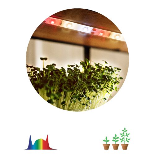 Лента светодиодная FITO-Strip Light-Rа90-3m 3м для растений полноспектральная IP65 Эра Б0059881