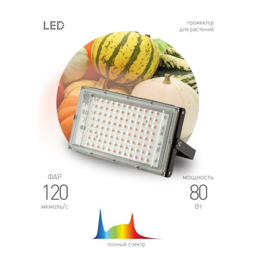 Прожектор светодиодный FITO-80W-Ra90-LED-Y 80Вт для растений полноспектральный IP65 Эра Б0057284