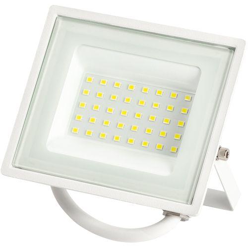 Прожектор светодиодный LPR-023-W-65K-030 30Вт 6500К 2400Лм IP65 уличный бел. ЭРА Б0054641