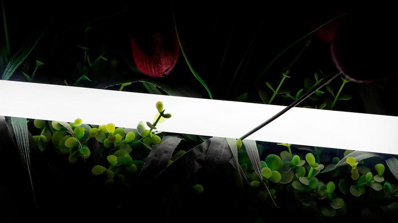 Лента светодиодная неоновая 2835 360град. LED/м 16 Вт/м 24В IP66 нейтр. бел. (уп.5м) SWG PRO 00-00013284