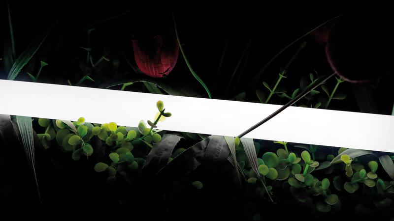 Лента светодиодная неоновая 2835 360град. LED/м 16 Вт/м 24В IP66 тепл. бел. (уп.5м) SWG PRO 00-00013283