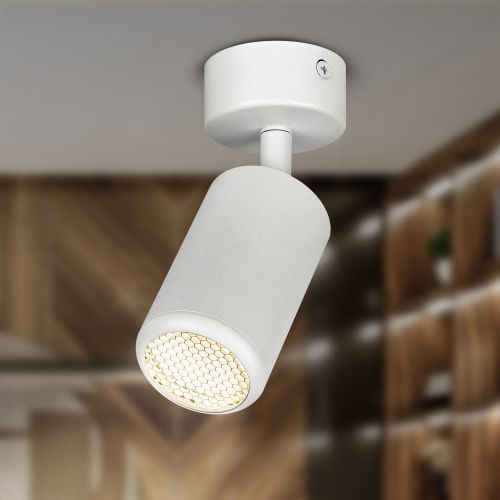 Светильник OL55 MR16 GU10 IP20 WH настен./потолочн. спот бел. Эра Б0061883