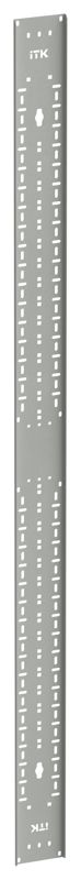 Органайзер кабельный вертикальный 45U сер. LINEA S ITK LS-CO35-45U-V