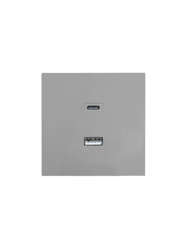 Розетка Type-C+ USB разъем СП ZIMA IP20 сер. матов. LEZARD 704-7488-192TC