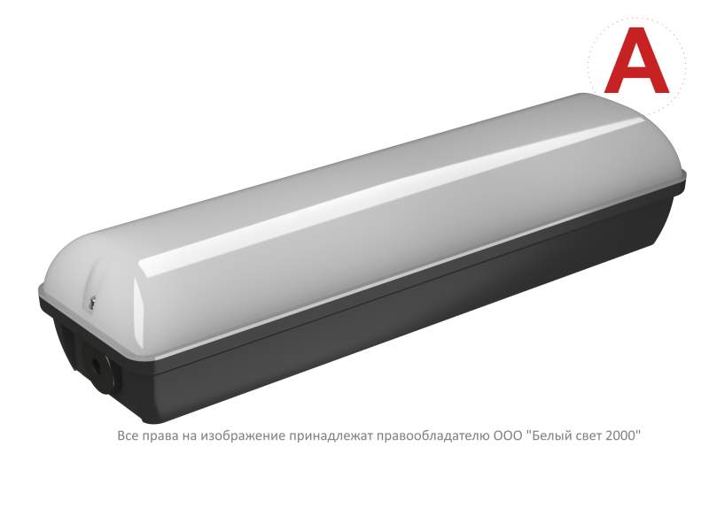 Светильник аварийный BS-METEOR-81-L2-INEXI2 5000К Black Белый свет a32260