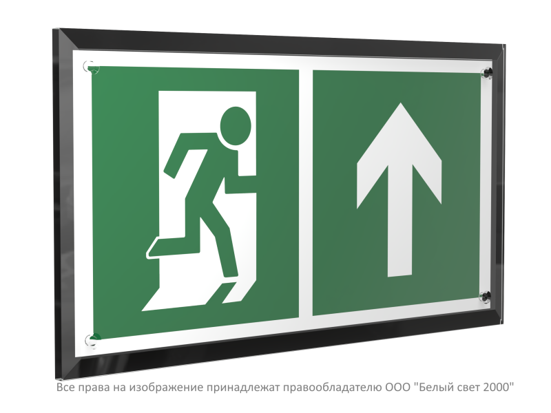 Знак безопасности PT-32178-Black.E38 "Напр. к эвакуационному выходу прямо " Белый свет a32721