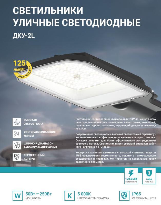 Светильник уличный линзованный светодиодный ДКУ-2L 250Вт 230В 5000К 31250лм 125лм/Вт 48-70мм IP65 NEOX 4690612057507