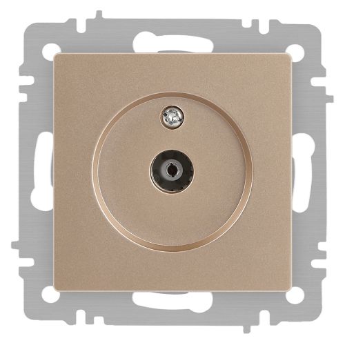 Розетка телевизионная одиночная TV СП Accent 6-301-04 IP20 шампань Intro Б0063609