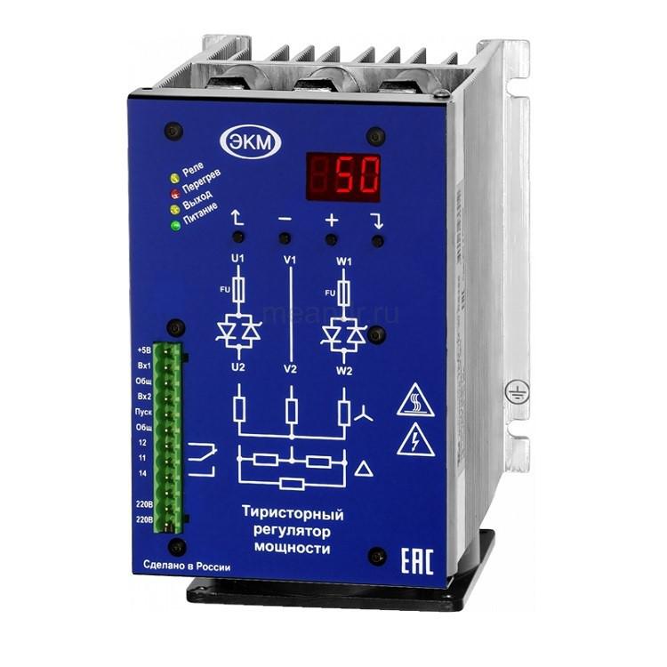 Регулятор тиристорный 2ф ТРМ-2М-60-RS485 Меандр A8302-16936564