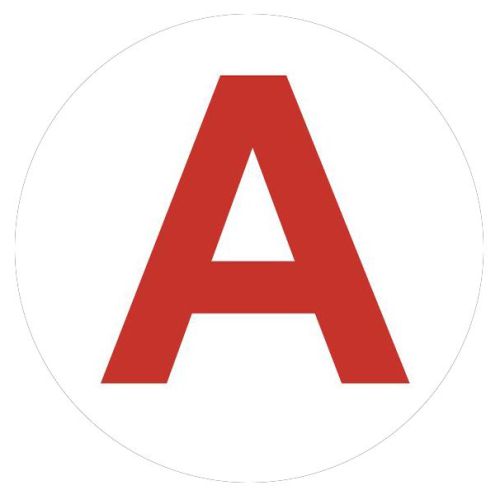 Этикетка самоклеящаяся INFO-LLP-129 50х50мм А для маркировки аварийных светильников Эра Б0069101