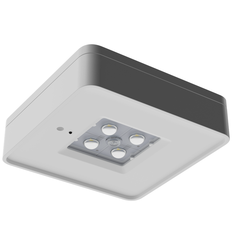 Светильник SPECTRA 4000-4 LED СТ 4502004720