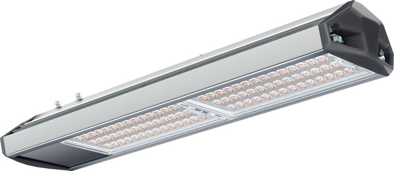 Светильник светодиодный РУС ДКУ 02 130 740 ШБ ЕСАУЛ IP66/67 уличный Технологии света УТ000026430