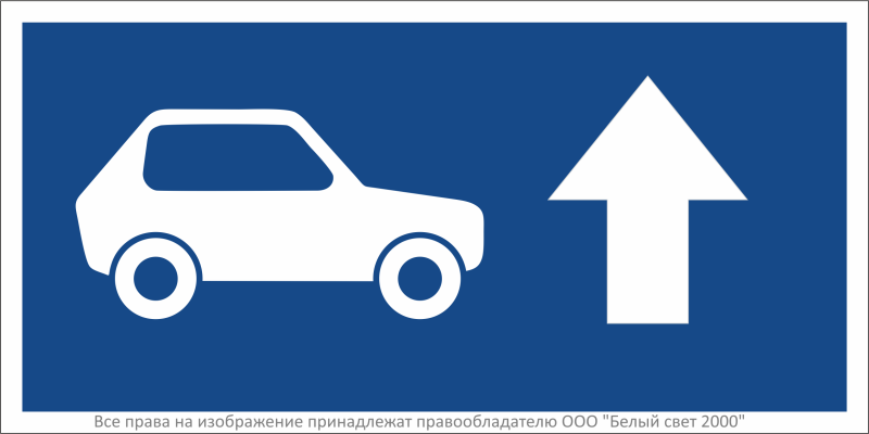 Знак безопасности BL-3015B.N21 "Указатель движения автомобилей прямо" Белый свет a32481