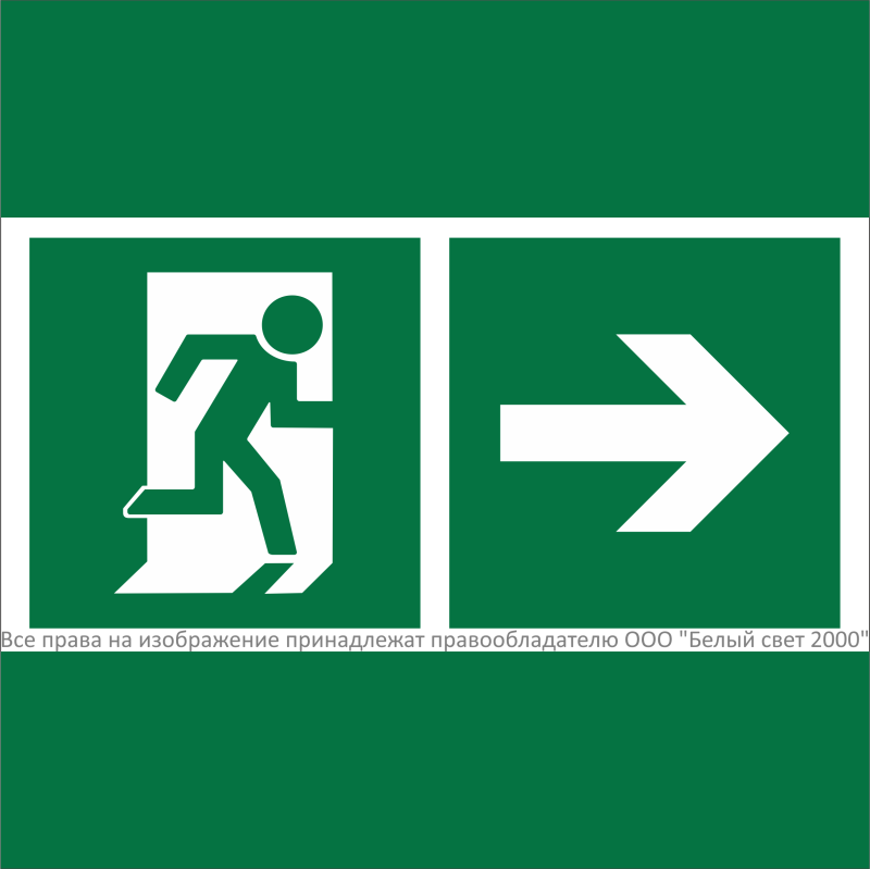 Знак безопасности NPU-2424.E35 "Направление к эвакуационному выходу направо" Белый свет a28728