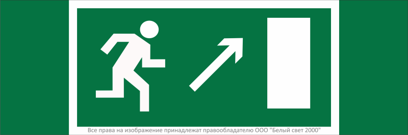 Знак безопасности NPU-3311.E05 "Направление к эвакуационному выходу направо вверх" Белый свет a32668