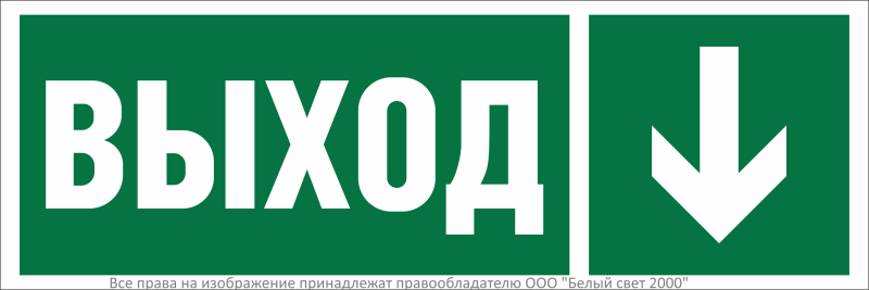 Знак безопасности NPU-3311.E29 "Направление к эвакуационному выходу вниз" Белый свет a32683