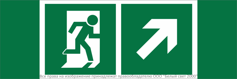 Знак безопасности NPU-3311.E37 "Направление к эвакуационному выходу направо вверх" Белый свет a32687