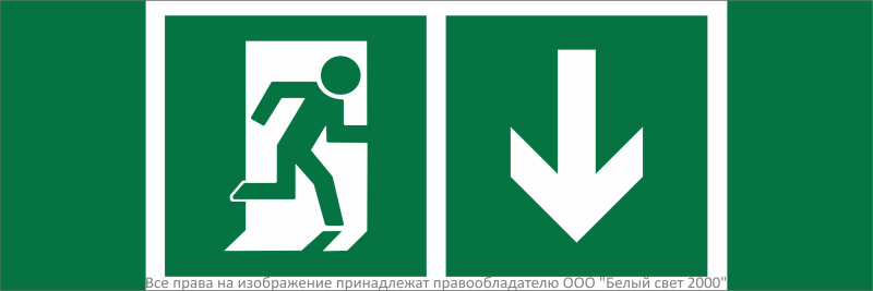Знак безопасности NPU-3311.E39 "Указатель двери эвакуационного выхода (прав.)" Белый свет a32689