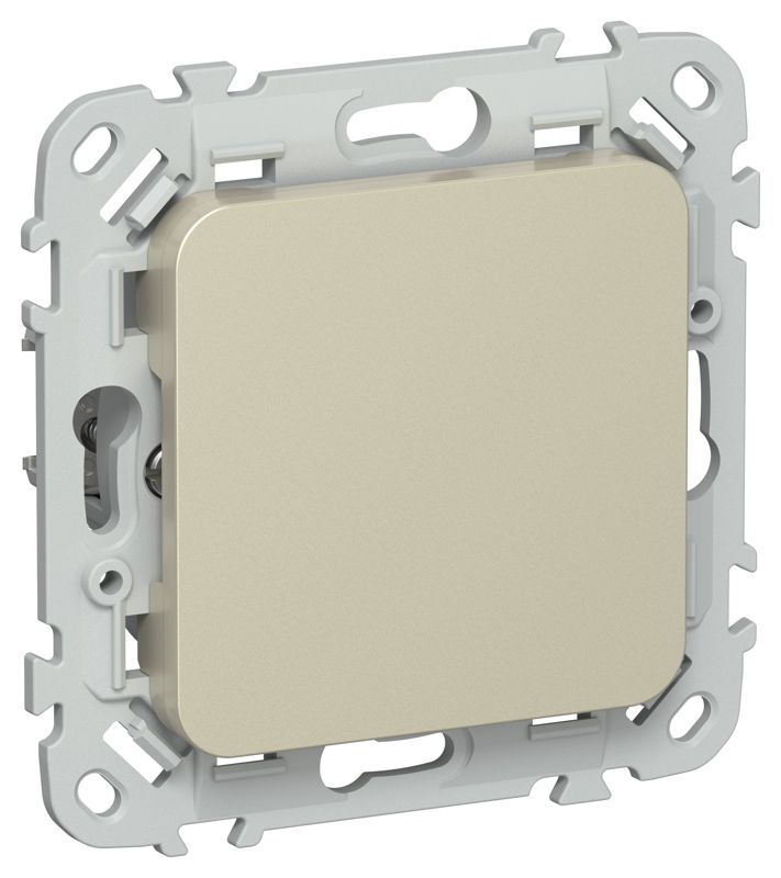 Заглушка СП FLITE ЗГ-ФлШ с суппортом механизм шампань IEK FI-PL10-K37