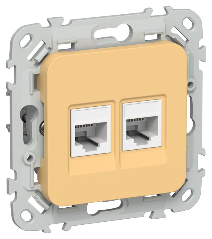 Розетка компьютерная 2-м СП FLITE РК5е-2-0-ФлЗ RJ45 кат.5E UTP механизм золотарник IEK FI-K22-1-K90