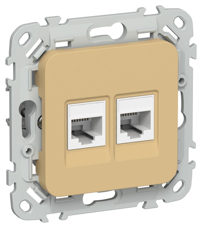Розетка компьютерная 2-м СП FLITE РК5е-2-0-ФлШм RJ45 кат.5E UTP механизм шамуа IEK FI-K22-1-K89