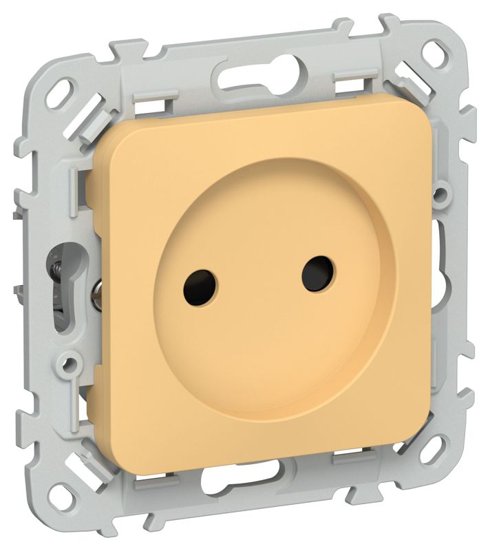 Розетка СП FLITE РСш01-1-ФлЗ 10А без заземл. с защ. шторками безвинтовое крепление механизм золотарник IEK FI-R13-10-1-K90