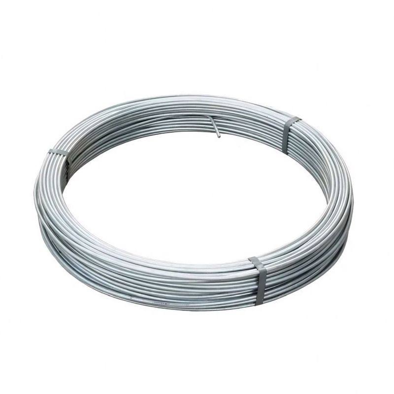 Пруток d10мм (80м) гор. оцинк. Промрукав PR08.28726