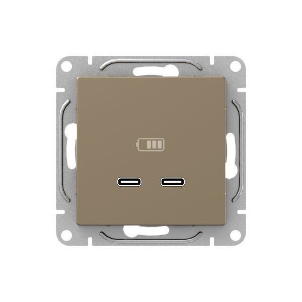 Розетка 2-м СП Эпика USB-C механизм шампань EKF UP1-SOC-2USBC