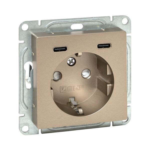 Розетка СП Эпика 16А с 2 USB-C с заземл. защ. шторки механизм шампань EKF UP1-SOC-111-2USBC