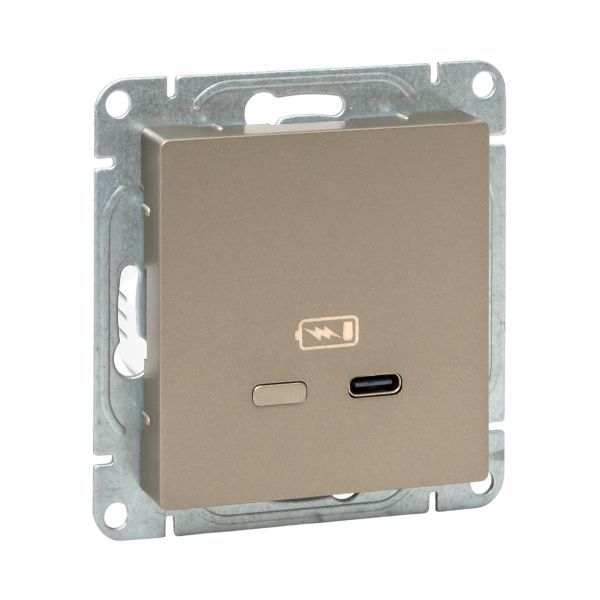 Розетка СП Эпика USB-C быстрая механизм шампань EKF UP1-SOC-USBCF
