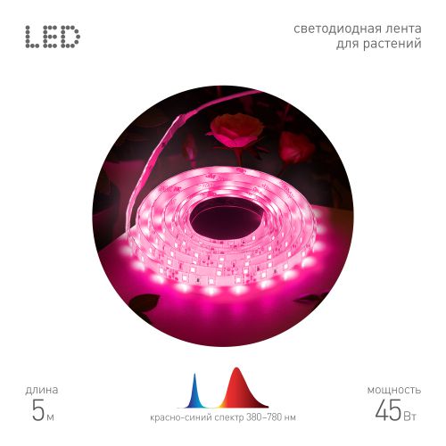Лента светодиодная FITO-Strip Light-RB-45W-5m-12V-IP65 5м красн./син. спектра IP65 с адаптером 12В для растений Эра Б0064596
