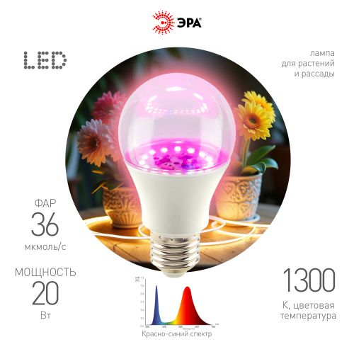 Лампа светодиодная FITO-20W-RB-E27 20Вт грушевидная прозрачная 1300К красн./син. спектра E27 130-270В для растений Эра Б0069710