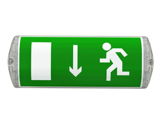 Светильник светодиодный TLM02 CL EM1 накладной Technolux 83537