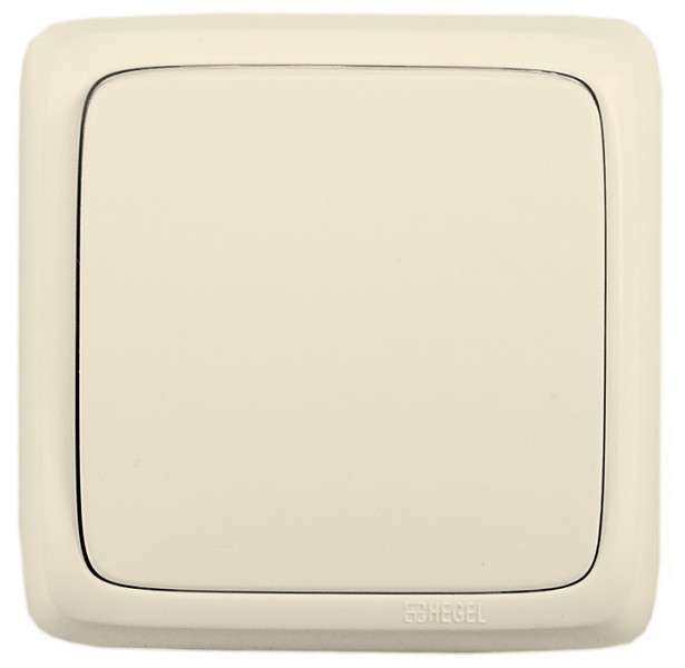 Переключатель 1-кл. ОП Альфа 16А IP20 250В с изолир. пластиной сл. кость HEGEL ВА16-163-01